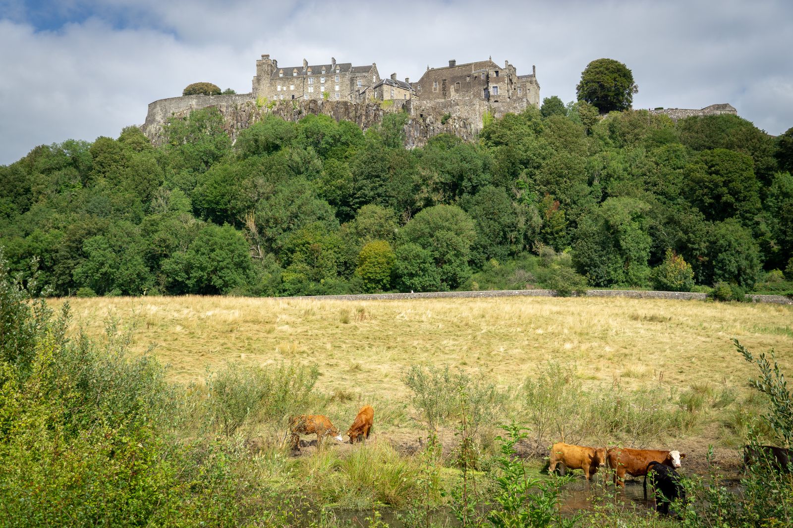Stirling Castle