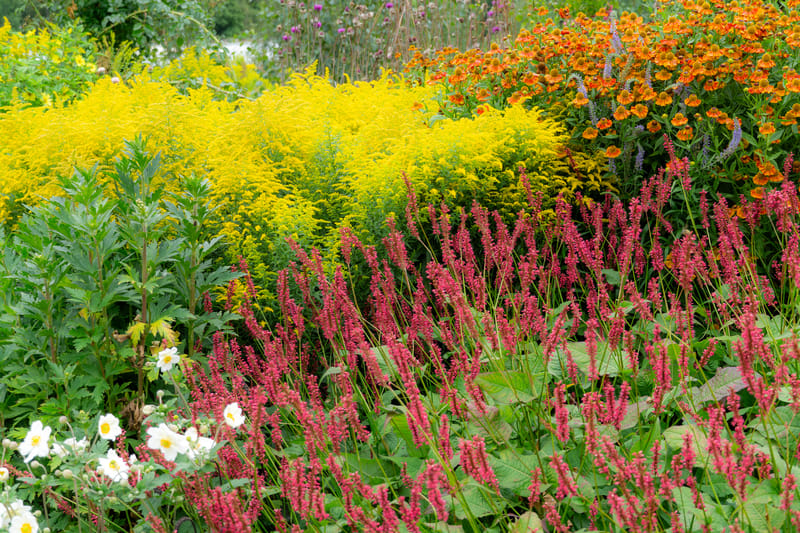 Floors Castle Garden